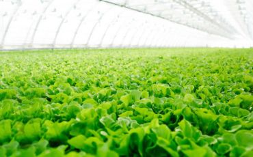 農(nóng)業(yè)部等三部門：開展植保無人飛機(jī)應(yīng)用試點(diǎn)工作